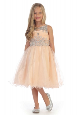 Girls Dress Style DR5240- Gorgeous Beaded Tulle Short Dress in Champagne