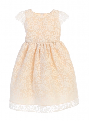 Girls Dress Style 688 - CHAMPAGNE- Cap Sleeve Embroidered Floral Organza Dress