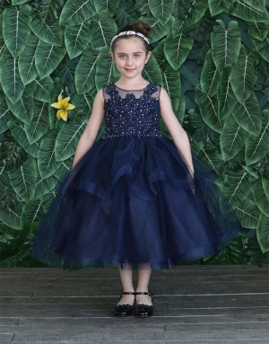 Navy Dress with Embroidered Bodice and Layered Skirt