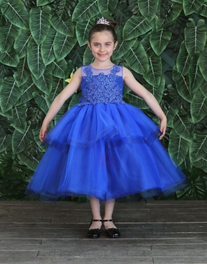 Royal Blue Dress with Embroidered Bodice and Layered Skirt
