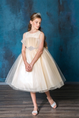 Champagne Tulle Dress with Pleated Bodice and Beaded Waist