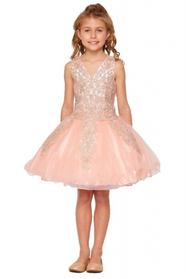 Elegant Blush Tulle Dress with Gold Coil Lace and Rhinestones
