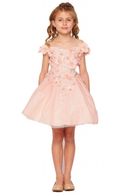 Blush Glitter Tulle Dress with 3D Flowers