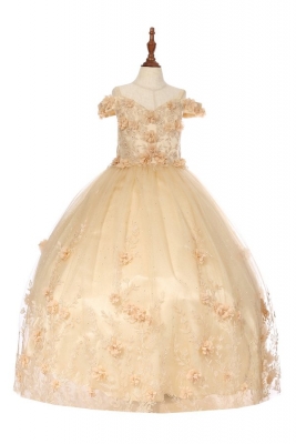 Champagne Off Shoulder Ball Gown with Floral Accents