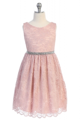 Blush Stretch Lace Dress