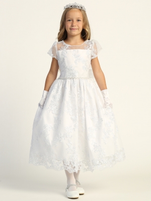 Short Sleeve Corded Embroidered Tulle Dress - SP202