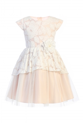 Blush Jasmine Leaf Lace Dress with Peplum