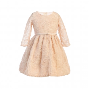 Champagne Rosette Mesh Dress with Satin