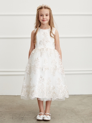 Ivory Metallic Lace Embroidered Dress with Tulle Skirt