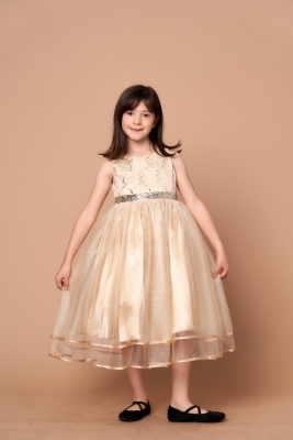 Girls Dress Style D-813 - CHAMPAGNE - Rhinestone Lace Dress with Glitter Tulle
