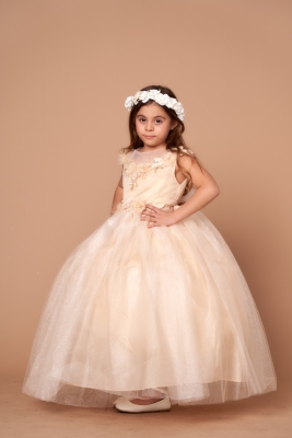 Champagne Flower Adorned Dress with Sparkle Tulle Skirt