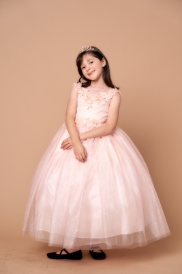 Blush Flower Adorned Dress with Sparkle Tulle Skirt