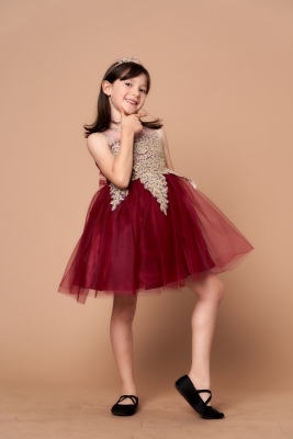 Burgundy Dress with Gold Embellishments and Illusion Neckline