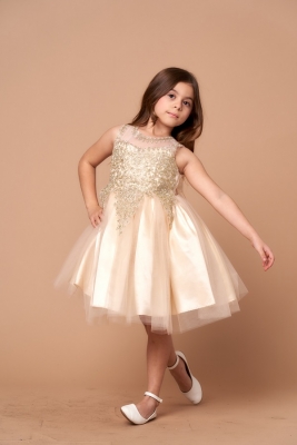 Champagne Dress with Gold Embellishments and Illusion Neckline