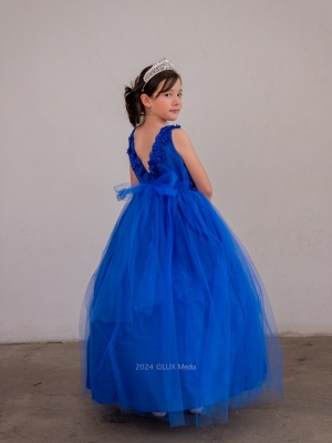 Royal Blue Tulle Dress with Floral Details