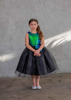 Black Dress with Green Iridescent Sequin Bodice and Tulle Skirt