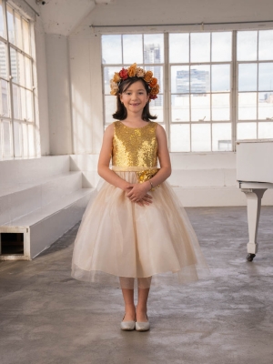 Champagne Dress with Gold Sequin Bodice and Tulle Skirt