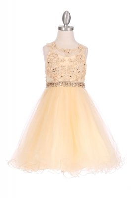 Champagne Jewel Adorned Tulle Sleeveless Dress with Wired Skirt