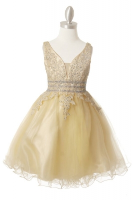 Champagne Elegant Floral and Rhinestone Tulle and Satin Dress