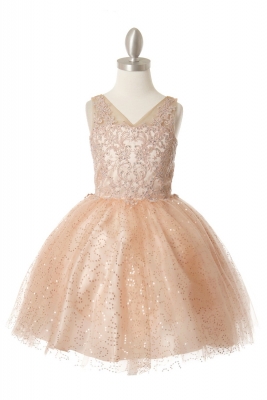Blush Elegant Embroidered Beaded Party Dress with Sequin Tulle Skirt