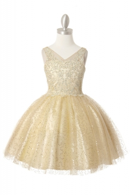 Champagne Elegant Embroidered Beaded Party Dress with Sequin Tulle Skirt