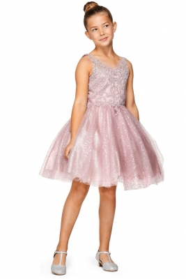 Mauve Elegant Embroidered Beaded Party Dress with Sequin Tulle Skirt