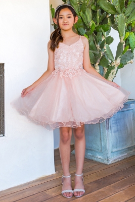 Blush A-Line Beaded Floral Dress with Wired Tulle Skirt