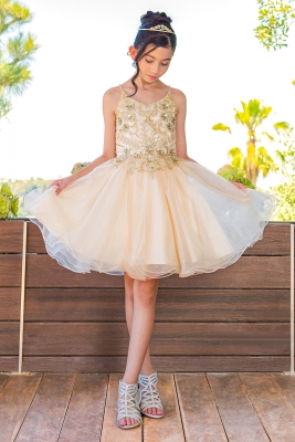 Champagne A-Line Beaded Floral Dress with Wired Tulle Skirt