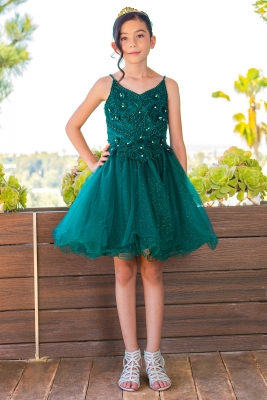Hunter Green A-Line Beaded Floral Dress with Wired Tulle Skirt