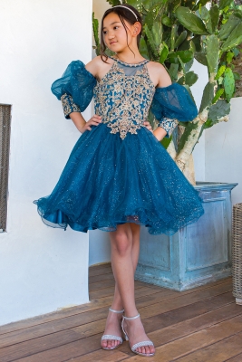 Peacock Gold Lace Glitter Tulle Party Dress