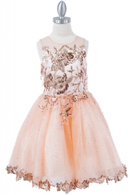 Blush and Gold Sequin Glittered Tulle Dress