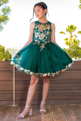 Hunter and Gold Sequin Glittered Tulle Dress