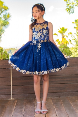 Navy and Gold Sequin Glittered Tulle Dress