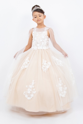 Champagne Illusion Neckline Dress Adorned with Flowers