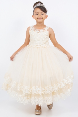 Champagne Lace and Tulle A-line Dress