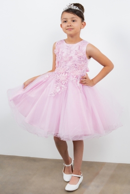 Pink Butterfly Lace Dress with Glitter Tulle