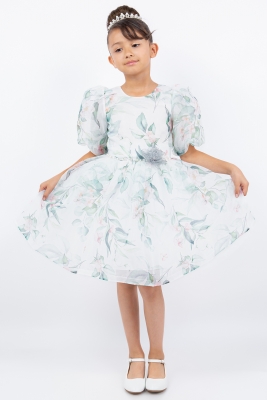 Sage Floral Print Dress with Puff Sleeves