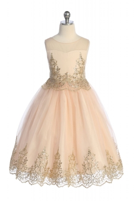Blush and Gold Corded Embroidered Dress