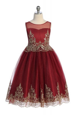 Burgundy and Gold Corded Embroidered Dress