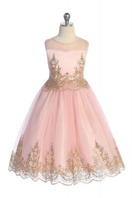 Pink and Gold Corded Embroidered Dress