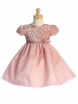 Blush Velvet Sequined and Glitter Tulle Dress