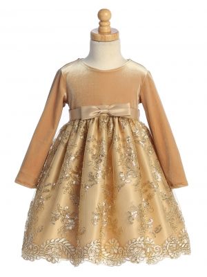Gold Velvet Long Sleeve Dress with Embroidered Tulle Skirt
