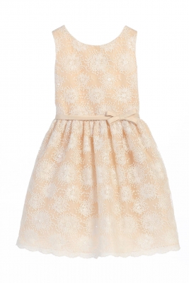 Champagne Flower Embroidered Mesh Dress with Soft Sequin Detail