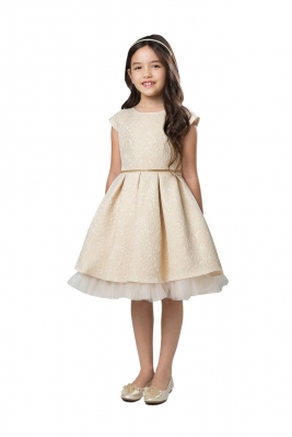 Ivory Gold Pleated Jacquard Dress with Peek a Boo Crystal Tulle