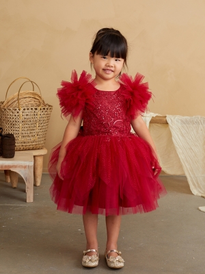 Red Ruffle Sleeved Dress with Glitter Lace Bodice