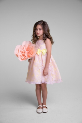 Pink and Yellow Organza Butterfly Burnout Dress