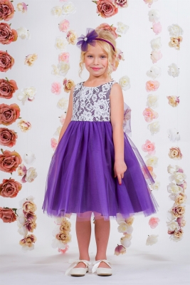 Purple Sleeveless Lace Illusion Dress