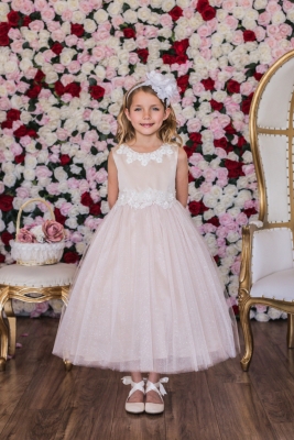 Blush Luxurious Princess Ball Gown Dress