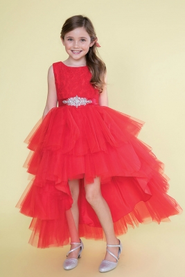 Red Lace and Tulle High Low Dress