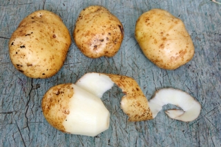 Potatoes